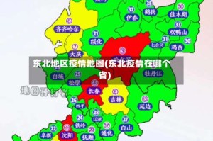 东北地区疫情地图(东北疫情在哪个省)