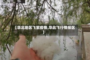 【华北地区飞絮疫情,华北飞行情报区】