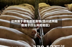 达州属于哪类地区疫情(四川达州疫情属于什么风险地区)