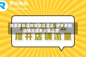 拼多多新店疫情地区流量/拼多多新店铺流量多少算正常