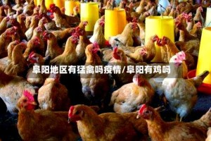 阜阳地区有猛禽吗疫情/阜阳有鸡吗