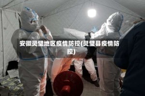 安徽灵璧地区疫情防控(灵璧县疫情防控)
