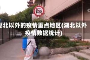 湖北以外的疫情重点地区(湖北以外疫情数据统计)