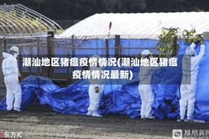 潮汕地区猪瘟疫情情况(潮汕地区猪瘟疫情情况最新)