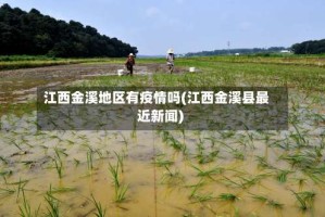 江西金溪地区有疫情吗(江西金溪县最近新闻)