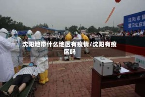 沈阳地带什么地区有疫情/沈阳有疫区吗
