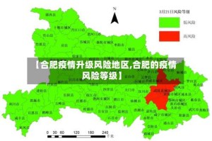 【合肥疫情升级风险地区,合肥的疫情风险等级】