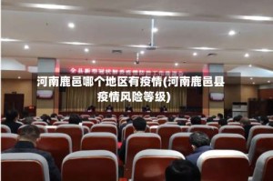 河南鹿邑哪个地区有疫情(河南鹿邑县疫情风险等级)