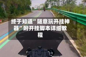 终于知道”随意玩开挂神器”附开挂脚本详细教程
