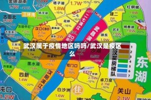 武汉属于疫情地区吗吗/武汉是疫区么