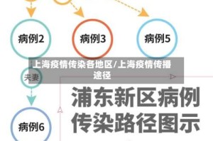 上海疫情传染各地区/上海疫情传播途径