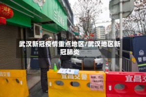 武汉新冠疫情重点地区/武汉地区新冠肺炎