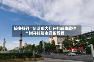 较多好评“新鸿狐大厅开挂辅助软件”附开挂脚本详细教程