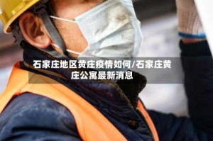 石家庄地区黄庄疫情如何/石家庄黄庄公寓最新消息