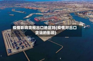 疫情影响货柜出口地区吗(疫情对出口货运的影响)