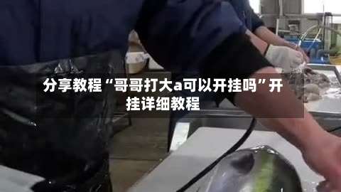 分享教程“哥哥打大a可以开挂吗	”开挂详细教程-第1张图片