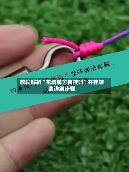 教程解析“花城牌舍有挂吗”开挂辅助详细步骤-第1张图片