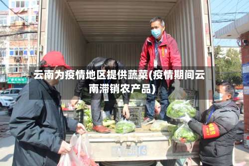 云南为疫情地区提供蔬菜(疫情期间云南滞销农产品)-第1张图片