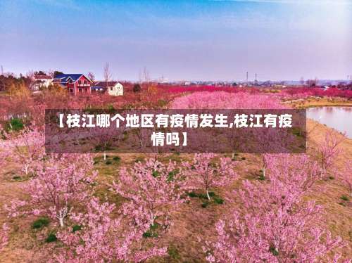 【枝江哪个地区有疫情发生,枝江有疫情吗】-第2张图片