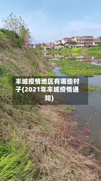 丰城疫情地区有哪些村子(2021年丰城疫情通知)-第3张图片