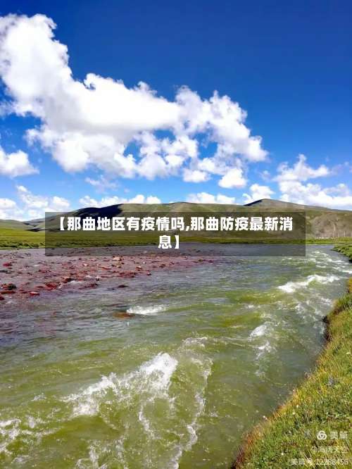 【那曲地区有疫情吗,那曲防疫最新消息】-第3张图片