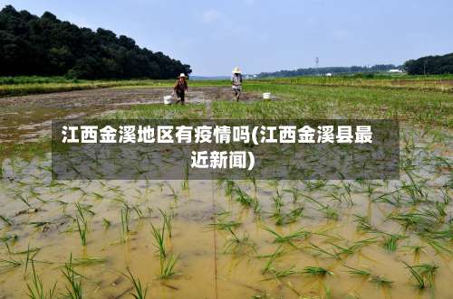 江西金溪地区有疫情吗(江西金溪县最近新闻)-第1张图片