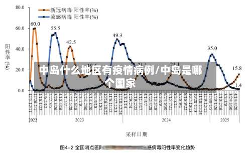中岛什么地区有疫情病例/中岛是哪个国家-第1张图片