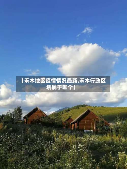 【禾木地区疫情情况最新,禾木行政区划属于哪个】-第1张图片