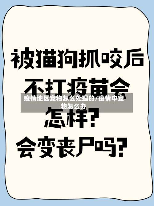 疫情地区宠物怎么处理的/疫情中宠物怎么办-第3张图片