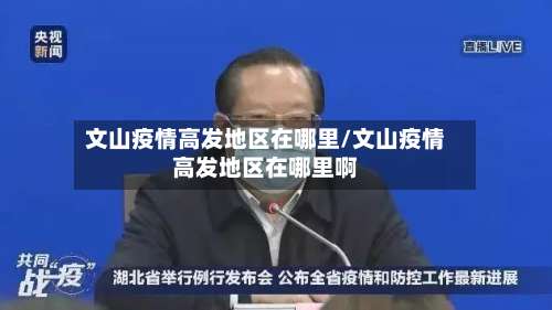文山疫情高发地区在哪里/文山疫情高发地区在哪里啊-第2张图片