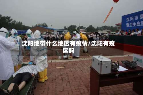 沈阳地带什么地区有疫情/沈阳有疫区吗-第1张图片