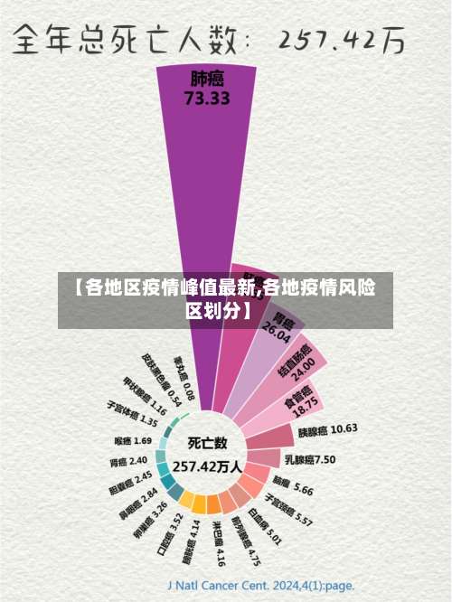 【各地区疫情峰值最新,各地疫情风险区划分】-第3张图片