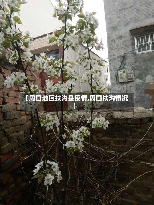 【周口地区扶沟县疫情,周口扶沟情况】-第3张图片