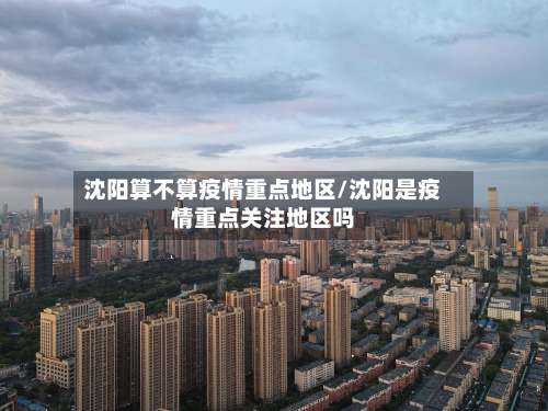 沈阳算不算疫情重点地区/沈阳是疫情重点关注地区吗-第2张图片