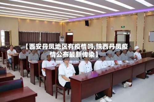 【西安丹凤地区有疫情吗,陕西丹凤疫情公布最新传染】-第1张图片