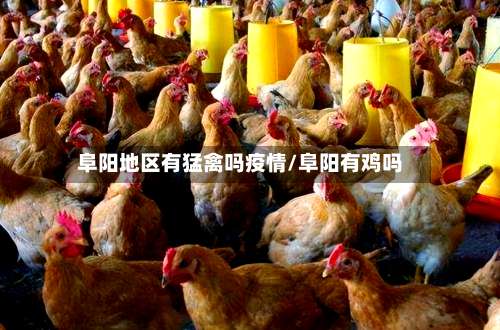 阜阳地区有猛禽吗疫情/阜阳有鸡吗-第1张图片