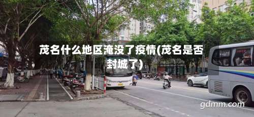 茂名什么地区淹没了疫情(茂名是否封城了)-第2张图片