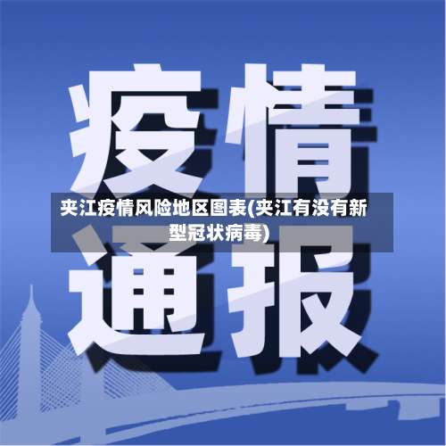 夹江疫情风险地区图表(夹江有没有新型冠状病毒)-第3张图片