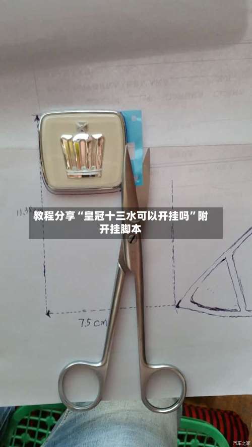 教程分享“皇冠十三水可以开挂吗	”附开挂脚本-第2张图片