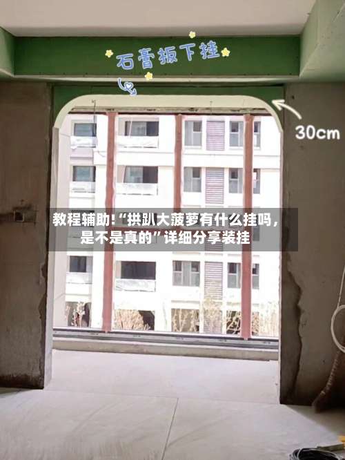 教程辅助!“拱趴大菠萝有什么挂吗	，是不是真的	”详细分享装挂-第2张图片