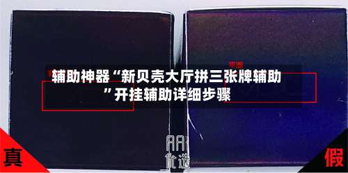 辅助神器“新贝壳大厅拼三张牌辅助”开挂辅助详细步骤-第1张图片