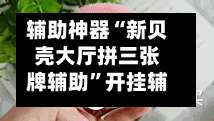 辅助神器“新贝壳大厅拼三张牌辅助	”开挂辅助详细步骤-第2张图片