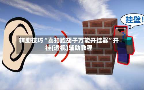 辅助技巧“喜扣跑胡子万能开挂器”开挂(透视)辅助教程-第3张图片