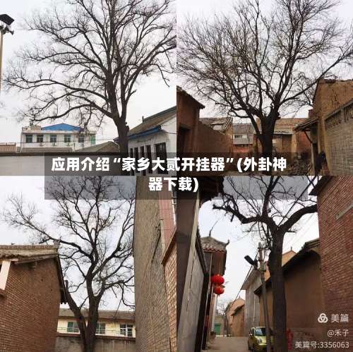 应用介绍“家乡大贰开挂器”(外卦神器下载)-第2张图片