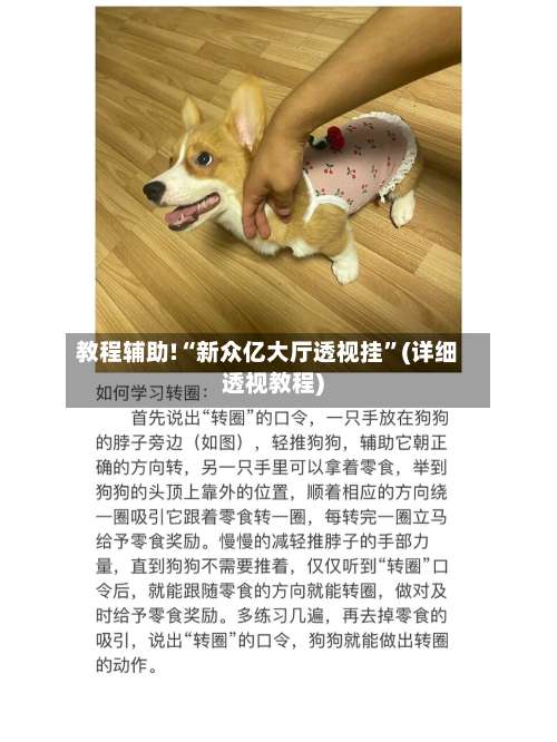 教程辅助!“新众亿大厅透视挂	”(详细透视教程)-第2张图片