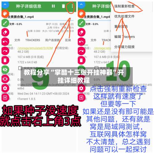 教程分享“掌酷十三张开挂神器”开挂详细教程-第1张图片