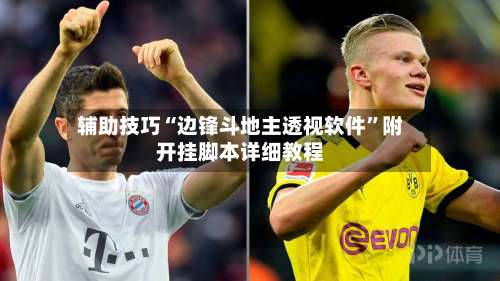 辅助技巧“边锋斗地主透视软件”附开挂脚本详细教程-第1张图片
