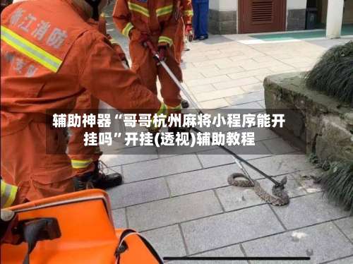 辅助神器“哥哥杭州麻将小程序能开挂吗”开挂(透视)辅助教程-第3张图片