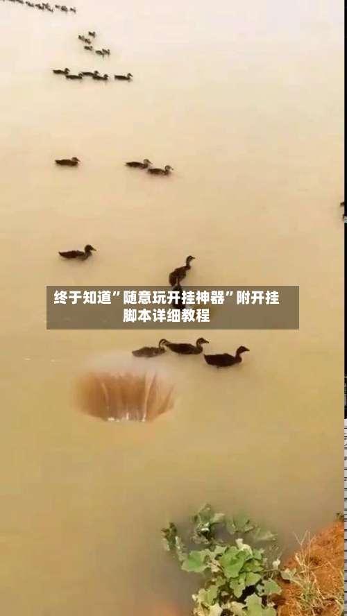 终于知道	”随意玩开挂神器”附开挂脚本详细教程-第2张图片