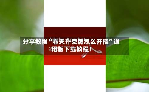 分享教程“春天扑克牌怎么开挂	”通用版下载教程！-第1张图片